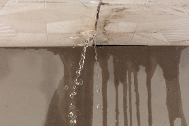 Professional Structural Drying technician working in Petersburg, IN